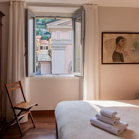 Salvia - By Lovecomo